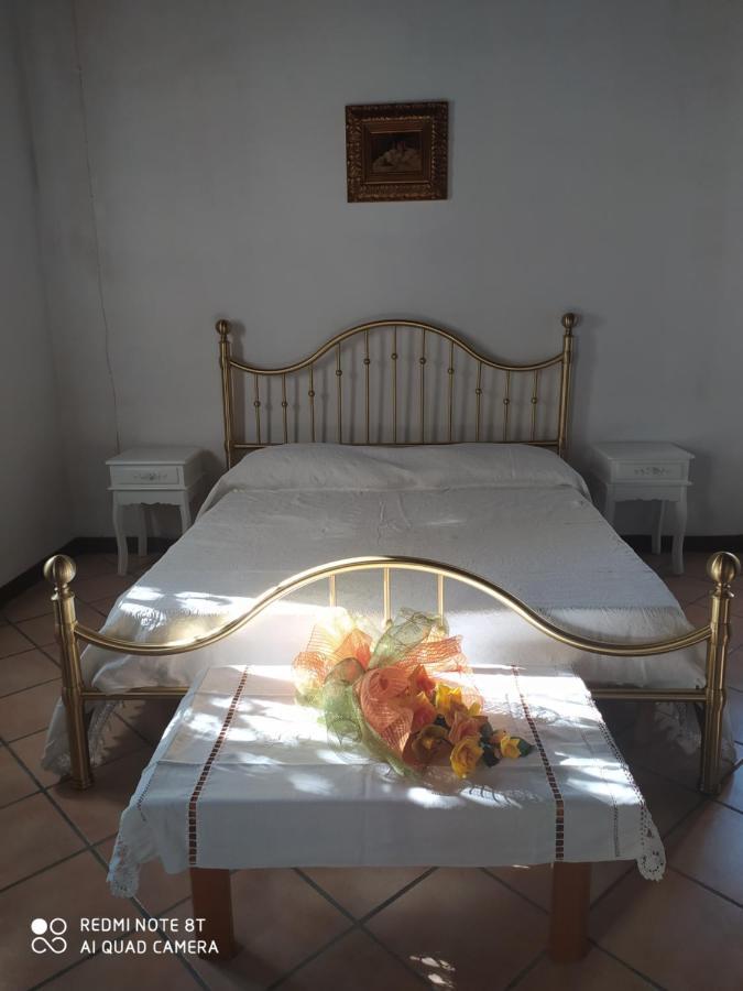 Bed and Breakfast La Rosa Selvatica Ravarino Exterior foto