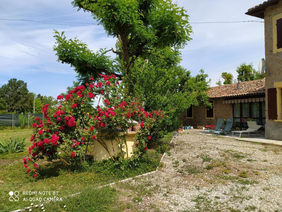 Bed and Breakfast La Rosa Selvatica Ravarino Exterior foto